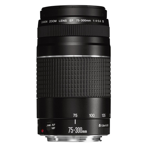 Lente Canon 75-300 STM