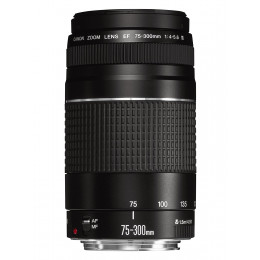 Lente Canon 75-300 STM