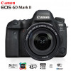 Canon 6D Mark ii 24-105mm IS STM