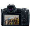 Canon EOS R Mirrorless LCD